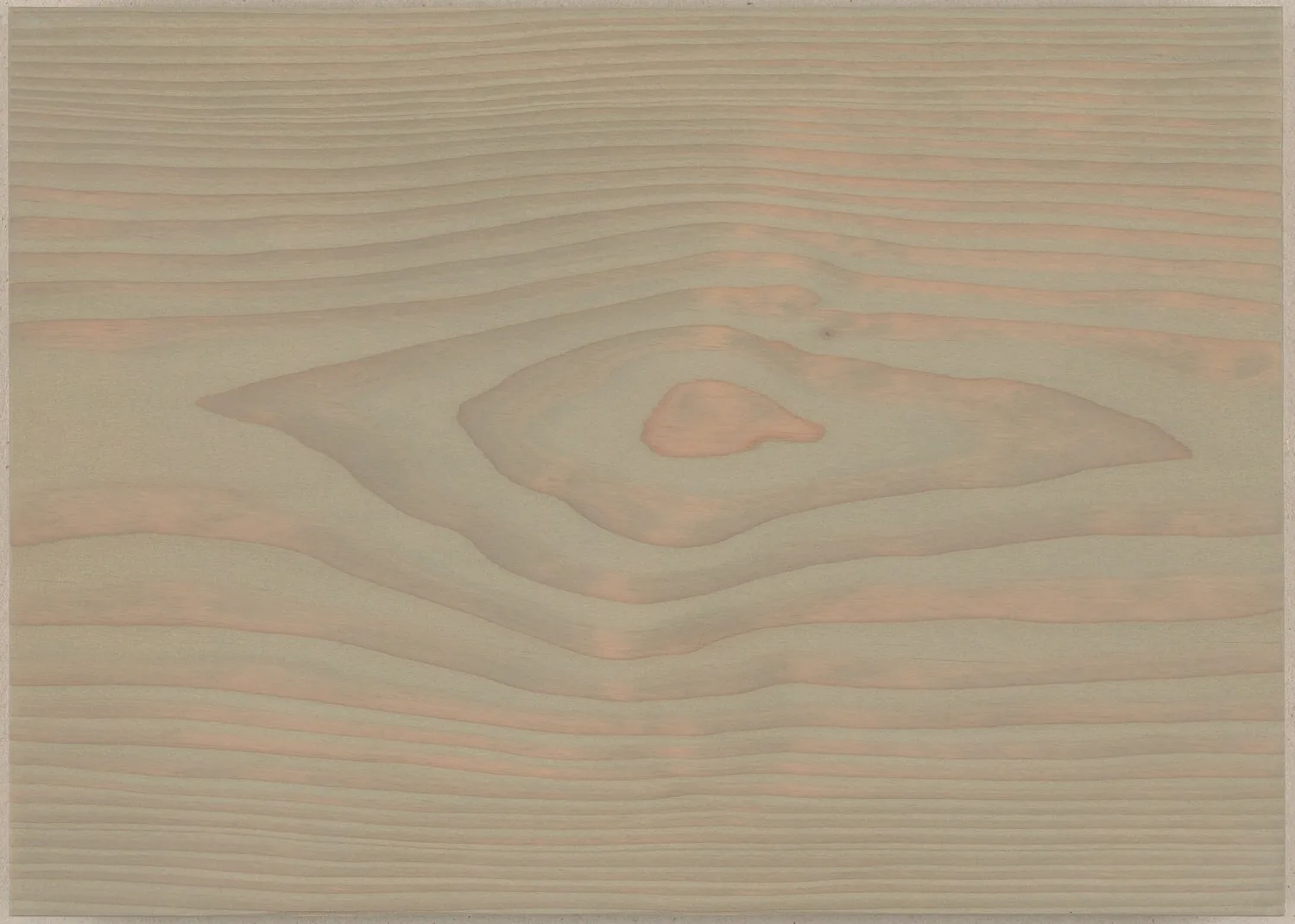 Muestra de Dinesen Douglas con acabado Aceite de color Ash