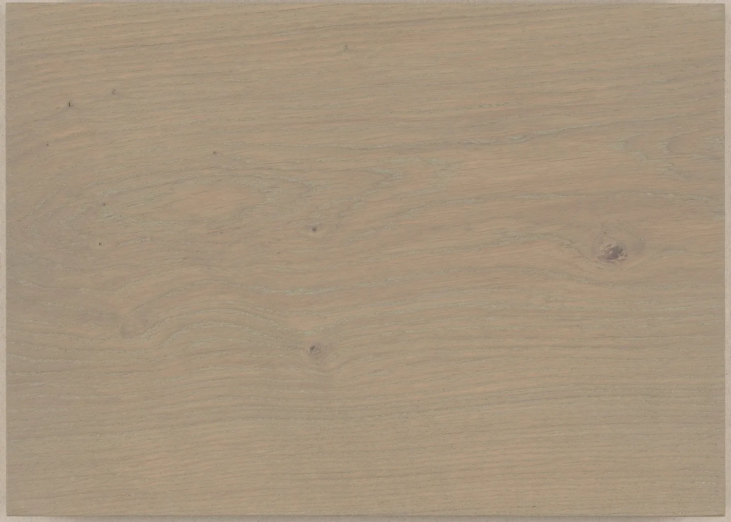 Muestra de Dinesen Oak (roble) con acabado Aceite de color Ash