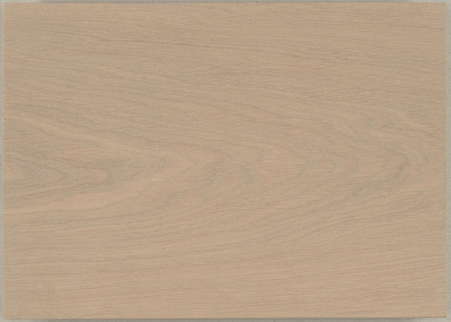 Muestra de Dinesen Oak (roble) con acabado Aceite de color Light Grey