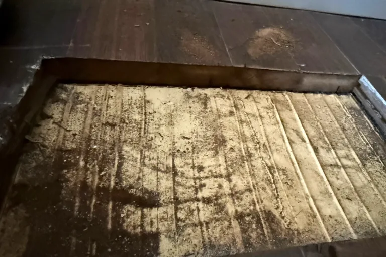 Lecho de adhesivo en la solera tras retirar las tablas: los cordones de la llana dentada están enteros, sin huella de las tablas