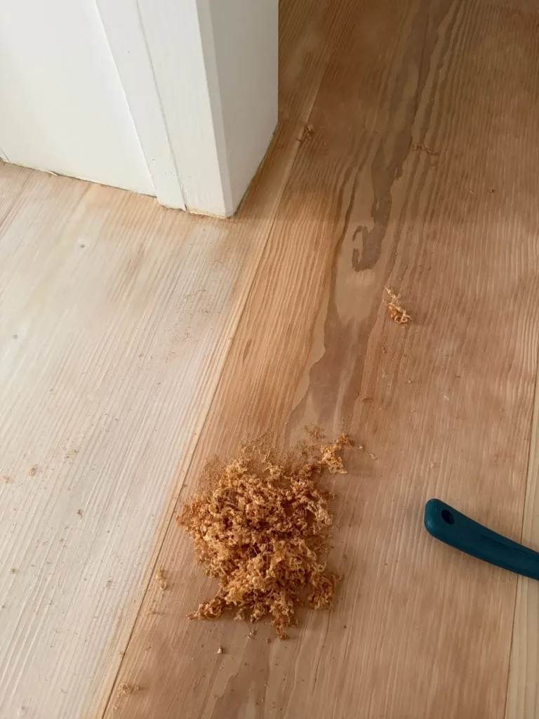 Virutas de madera y el mango de una rasqueta sobre tablas de Douglas en crudo, junto al marco de una puerta